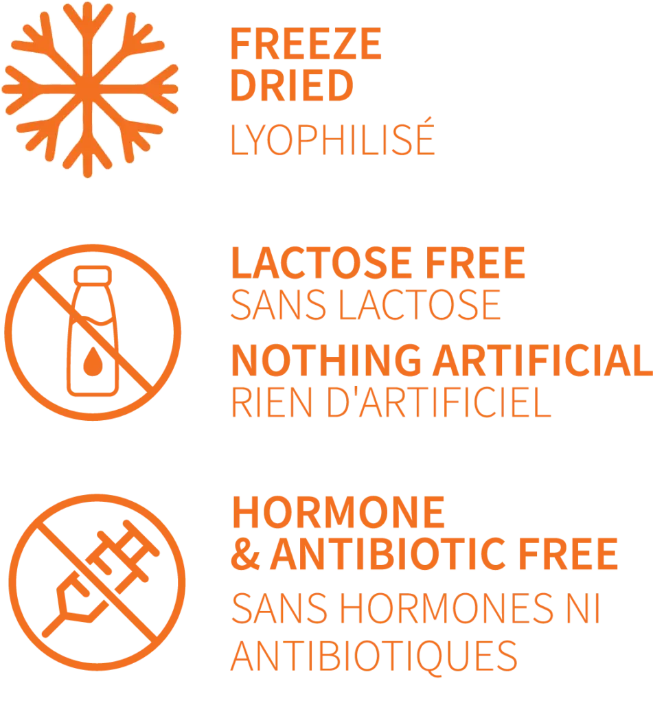 WBcheese specification