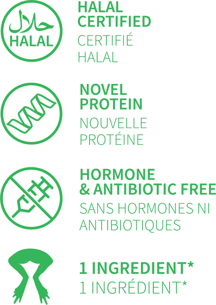 WBfrog specification