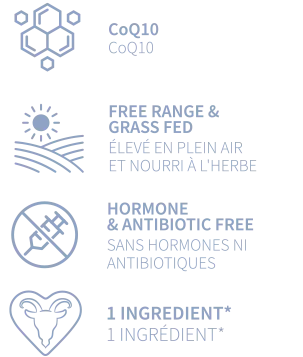 WBgoat specification