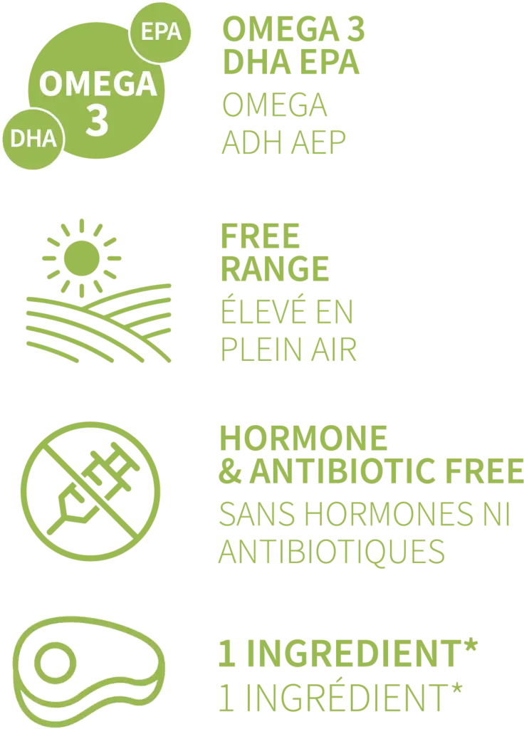 WBkangaroo specification