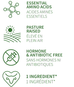 WB steak specification